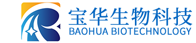 乐动网页版_乐动(中国)
